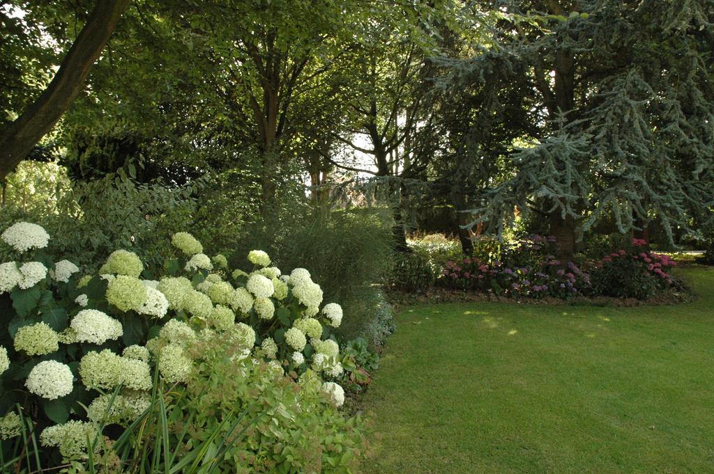 Bed and Breakfast La Coulonniere Wismes Exterior foto